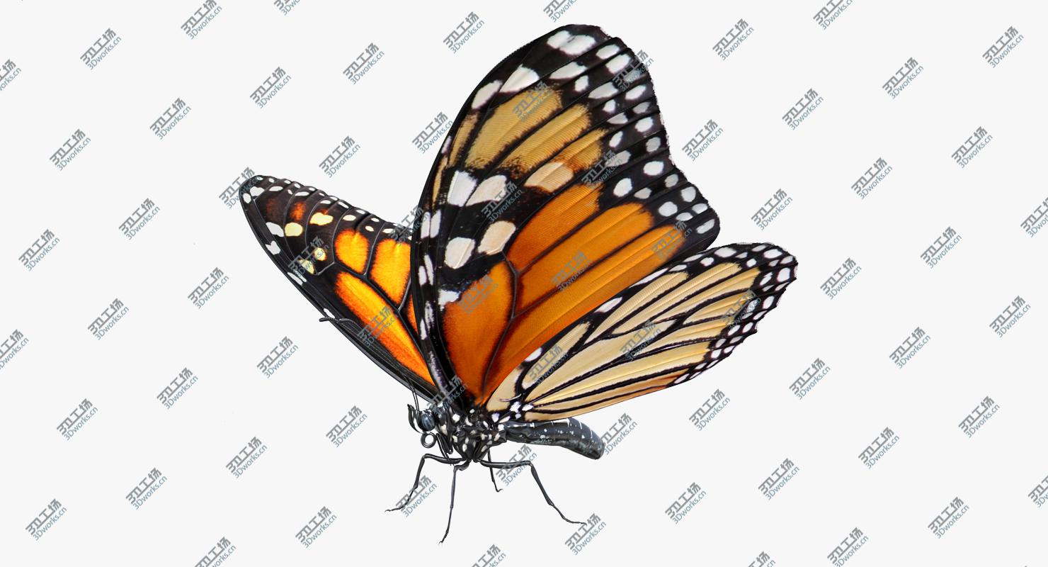 images/goods_img/20210114/3D model Danaus Plexippus Butterfly/2.jpg